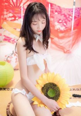 丁香婷婷基地_DVD全集免费播放